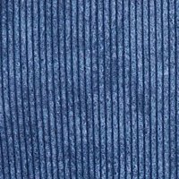blue corduroy
