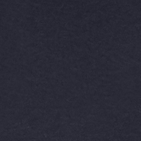 Color swatch of polo shirt in solid navy