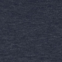 Color swatch of t-shirt in blue oxford