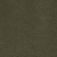 Farbmuster Bluse in olive