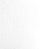 Color swatch of blouse in solid white