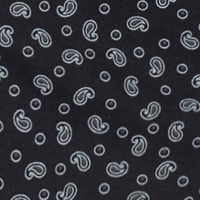 Farbmuster Hemd in navy paisley