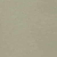 Color swatch of trousers in solid green